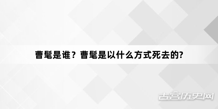 曹髦是谁？曹髦是以什么方式死去的?