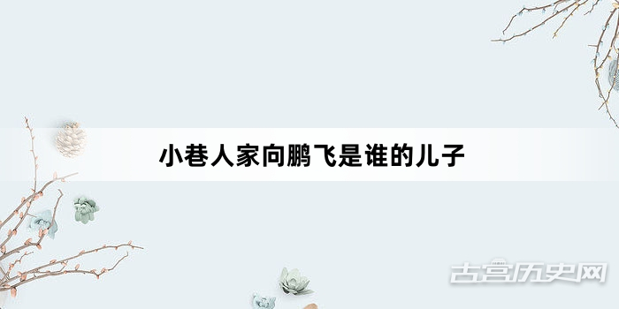 小巷人家向鹏飞是谁的儿子