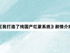 《我打造了纯国产红蒙系统》剧情介绍