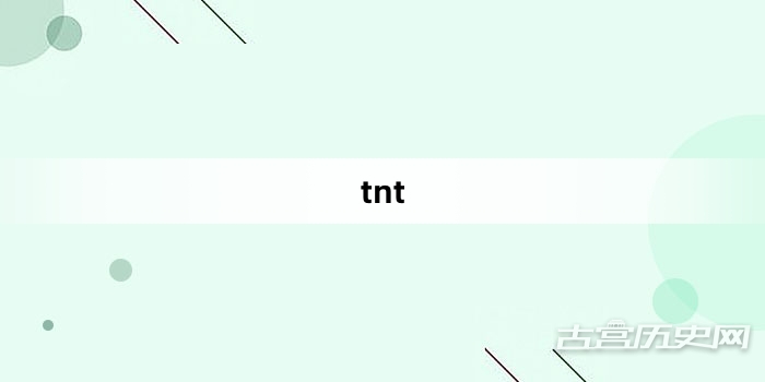 “tnt”网络梗词解释