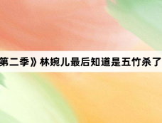 《庆余年第二季》林婉儿最后知道是五竹杀了自己的二哥吗