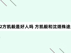 猎罪图鉴2方凯毅是好人吗 方凯毅和沈翊殊途无法同归