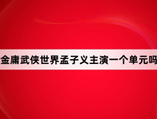 金庸武侠世界孟子义主演一个单元吗