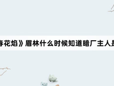 《春花焰》眉林什么时候知道暗厂主人是谁