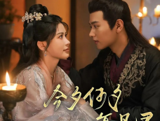 《今夕何夕复见君》剧情介绍