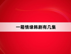 一箱情缘韩剧有几集