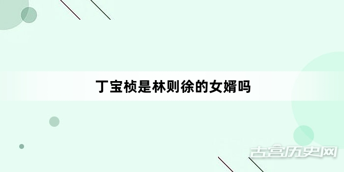 丁宝桢是林则徐的女婿吗