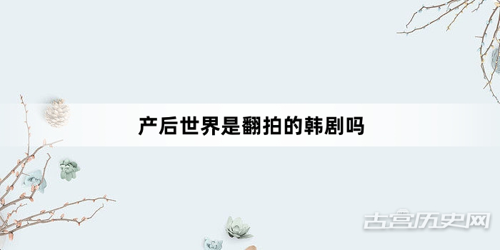 产后世界是翻拍的韩剧吗