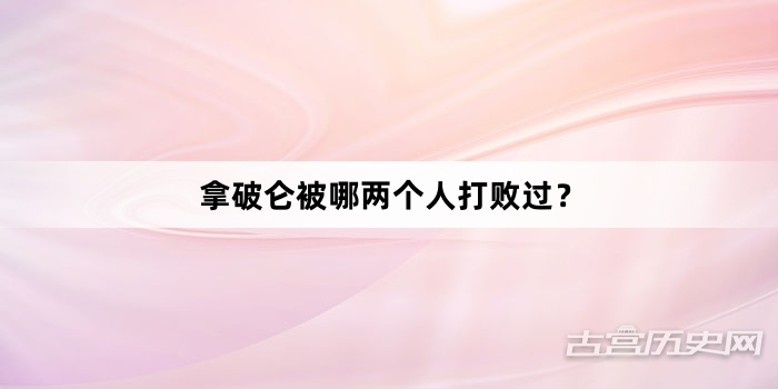 拿破仑被哪两个人打败过？