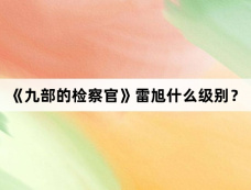 《九部的检察官》雷旭什么级别？