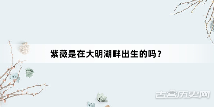 紫薇是在大明湖畔出生的吗？
