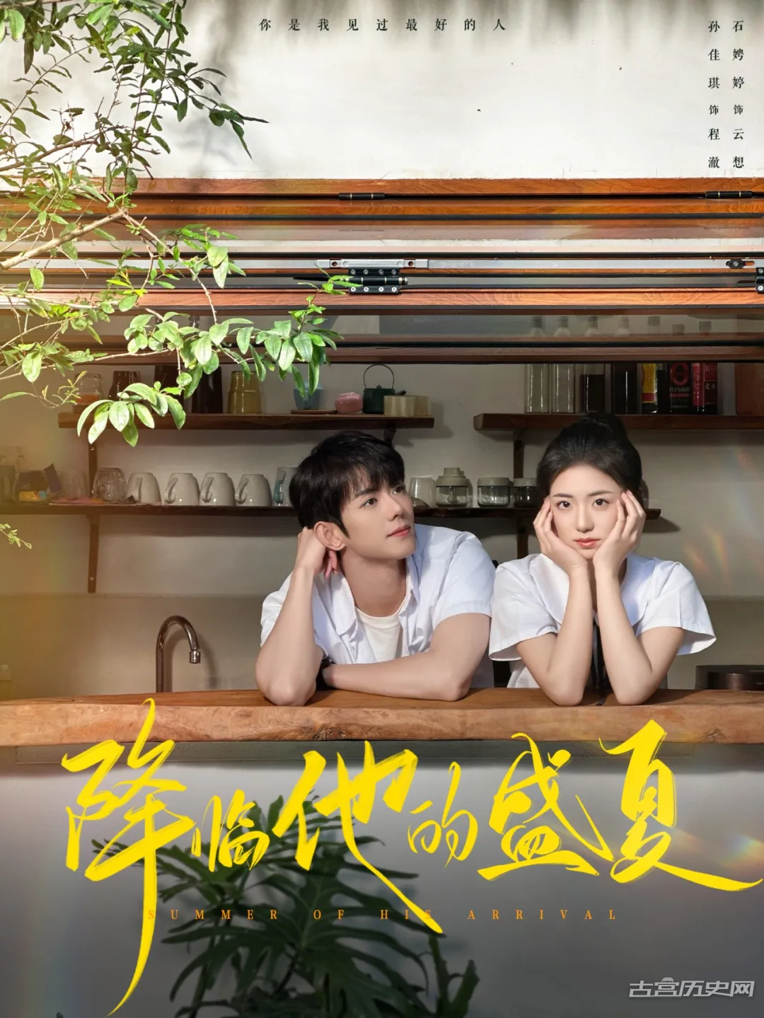 《降临他的盛夏》剧情介绍