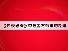 《白夜破晓》中被警方带走的是谁