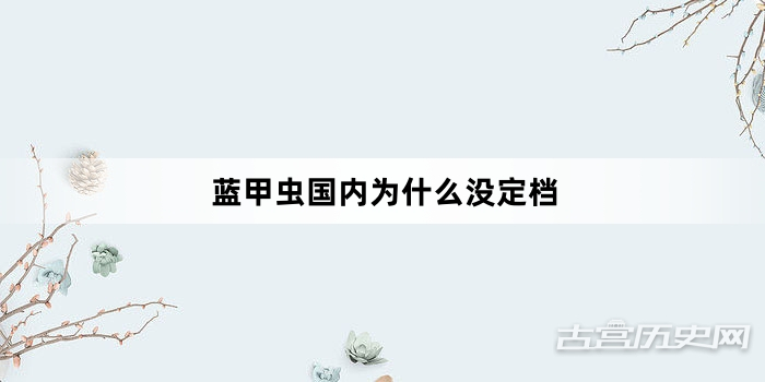 蓝甲虫国内为什么没定档