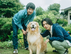 日剧《三矢老师的计划式投喂》剧情