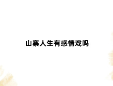 山寨人生有感情戏吗