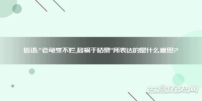俗语:"老龟烹不烂,移祸于枯桑"所表达的是什么意思?