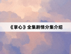 《掌心》全集剧情分集介绍