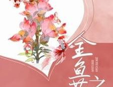 《无法抗拒的谎言》原著介绍