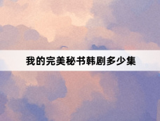 我的完美秘书韩剧多少集