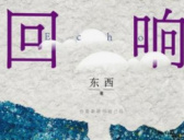 《回响》原著小说