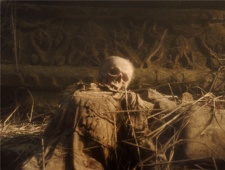 《云南虫谷》shirley杨的父亲是谁？在哪找到了？