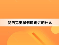 我的完美秘书韩剧讲的什么