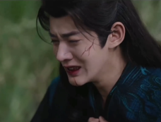 《仙台有树》第13集分集剧情介绍