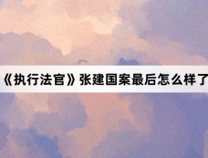 《执行法官》张建国案最后怎么样了