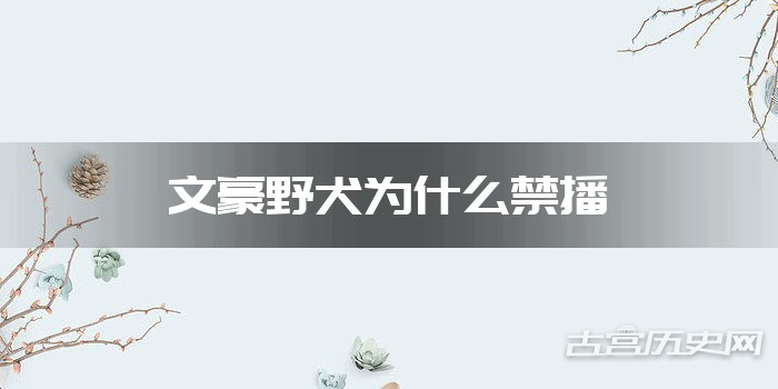 文豪野犬为什么禁播
