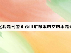 《我是刑警》西山矿命案的女凶手是谁