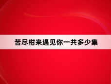 苦尽柑来遇见你一共多少集