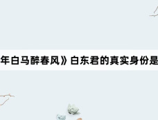 《少年白马醉春风》白东君的真实身份是什么