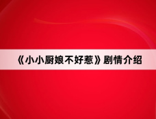《小小厨娘不好惹》剧情介绍