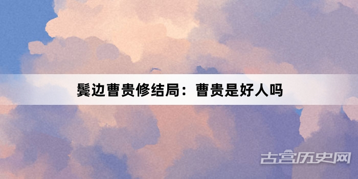鬓边曹贵修结局：曹贵是好人吗