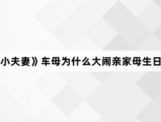 《小夫妻》车母为什么大闹亲家母生日会