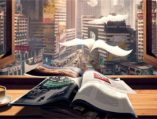 《橙色光芒》小说原著介绍