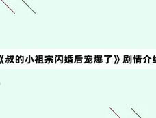 《叔的小祖宗闪婚后宠爆了》剧情介绍