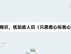 《与君初相识,犹如故人归(只愿君心似我心)》剧情介绍