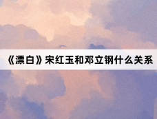 《漂白》宋红玉和邓立钢什么关系