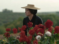 电影《凯歌香槟》剧情介绍