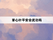 掌心叶平安会武功吗