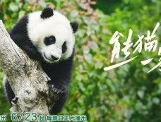 芒果熊猫一家人综艺实习饲养员都是谁