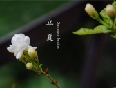 立夏时节怎么养生
