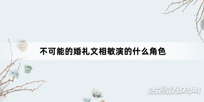 不可能的婚礼文相敏演的什么角色