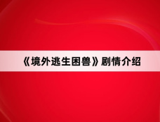 《境外逃生困兽》剧情介绍