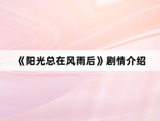 《阳光总在风雨后》剧情介绍