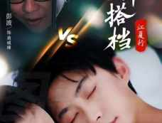 《江夏行金牌搭档》剧情介绍