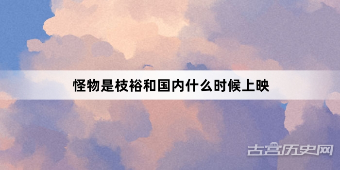 怪物是枝裕和国内什么时候上映