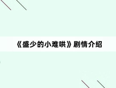 《盛少的小难哄》剧情介绍